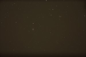 IMG_1529.jpg