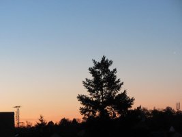 IMG_3370.JPG