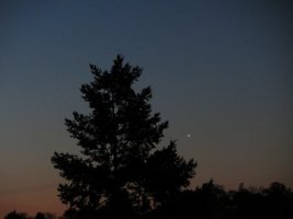 IMG_3367.JPG