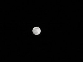 IMG_3364.JPG