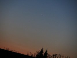 IMG_3379.JPG