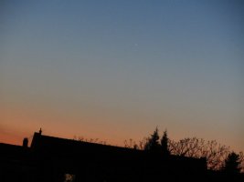 IMG_3375.JPG