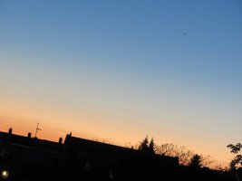 IMG_3373.JPG