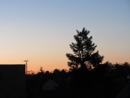 IMG_3389.JPG