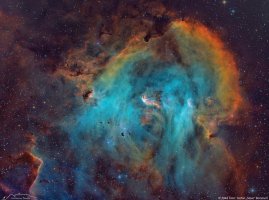 IC2944_Steve.jpg