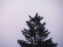 IMG_3396.JPG