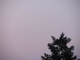 IMG_3394.JPG