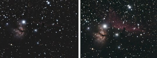 Horsehead vorher nachher.jpg