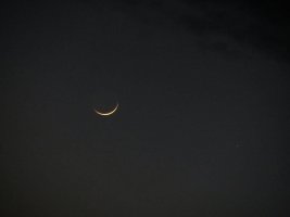 IMG_3410.JPG