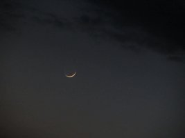 IMG_3408.JPG
