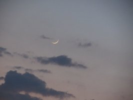 IMG_3402.JPG