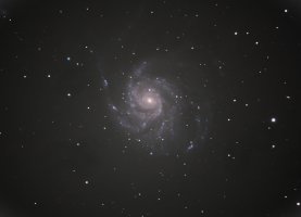 Pinwheel- Galaxy- M101.jpg