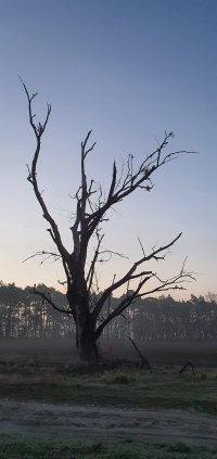 20220328_064442.jpg