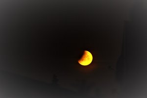 Mofi0514.jpg