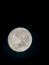 3CF180E6-F231-4042-BA54-EA5B1DCE99EA.jpeg