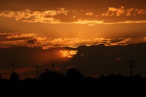 IMG_0054.JPG