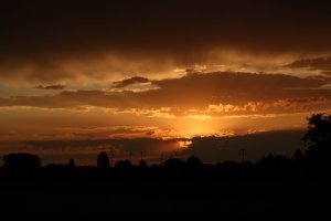 IMG_0052.JPG
