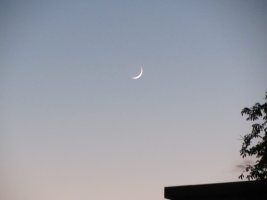 IMG_3426.JPG