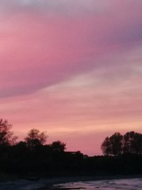 IMG_20220605_220613.jpg