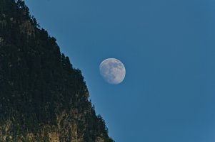 DSC_6640_klein.jpg