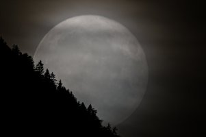2022-06-14_Mondaufgang_Mond_15Tage_alt_klein.jpg