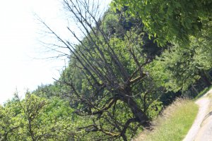 IMG_0052.JPG