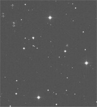 image1.jpg