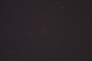 IMG_9137a.jpg