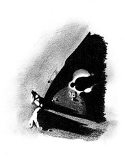 Birt_Recta_100.jpg