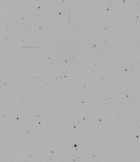 2010041029PAdeN.jpg