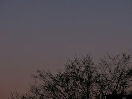 k-IMG_6183.JPG