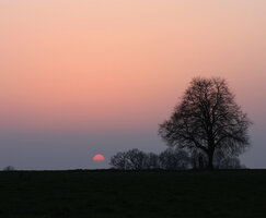 IMG_5952-sou.jpg