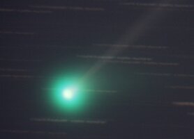 McNaught_13_06_2010.jpg