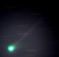 McNaught_13_06_2010a.jpg