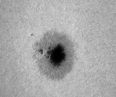Sonnenfleck_AR11092_310710_.jpg