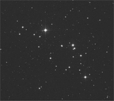 Image1.gif