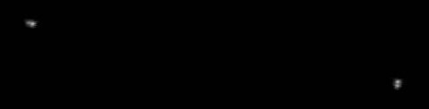 elyr04a.jpg