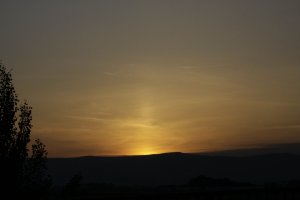 _MG_9549.JPG