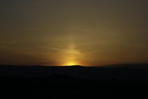 _MG_9556.JPG