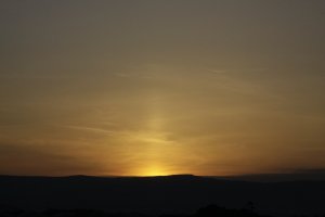 _MG_9550.JPG