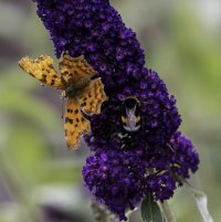 IMG_9779 Kopie.jpg