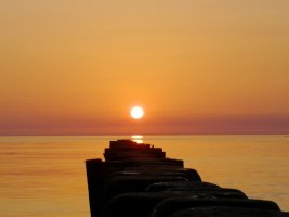IMG_20220719_211715.jpg