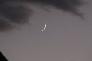IMG_0189.JPG