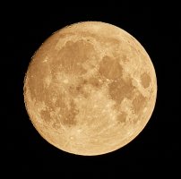 Mond20220811-EF100-400@5,6:4000.jpg