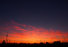 P8111002_su_crp.jpg