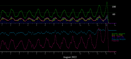 Perseiden-2022--Aug-13.png