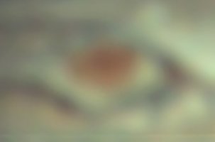 Screenshot_20220815-091730_Gallery.jpg