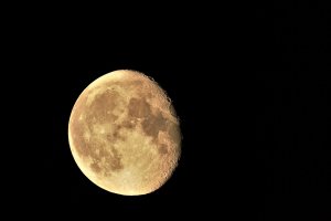 2tage nach Vollmond-August.jpg