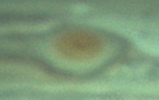 Screenshot_20220817-153217_Gallery.jpg