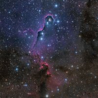 22-08-24_IC1396-PS-7-1600.jpg